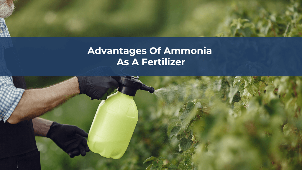 Advantages of Ammonia as a Fertilizer