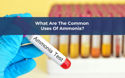 What are the common uses of ammonia?