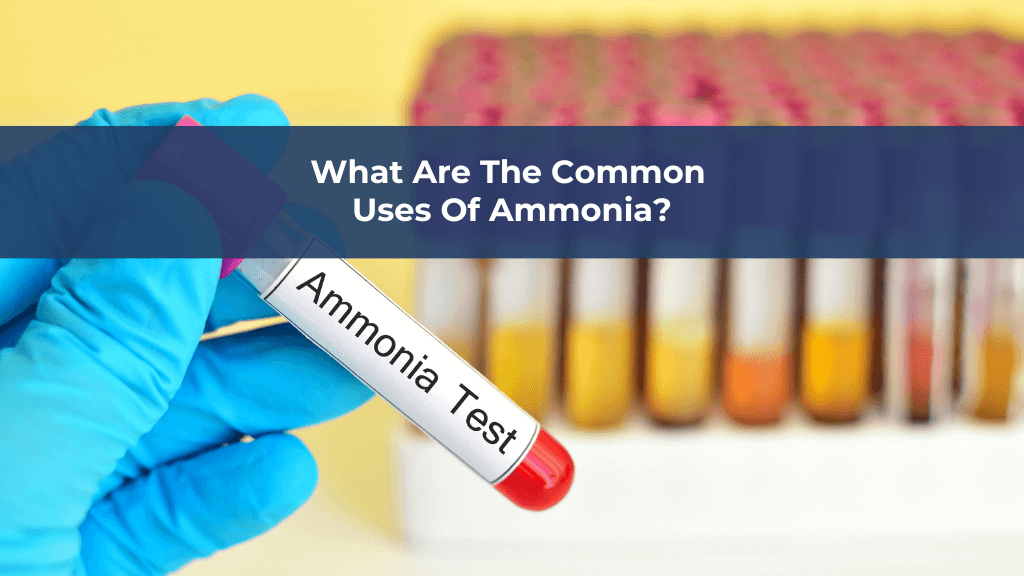 What Are The Common Uses Of Ammonia