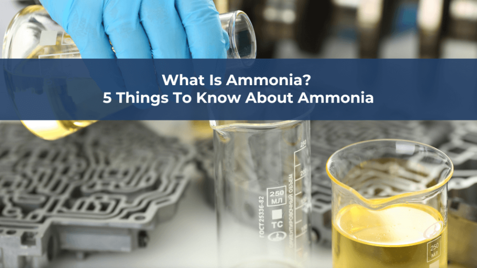 Understanding What is Ammonia Properties, Uses, and Production