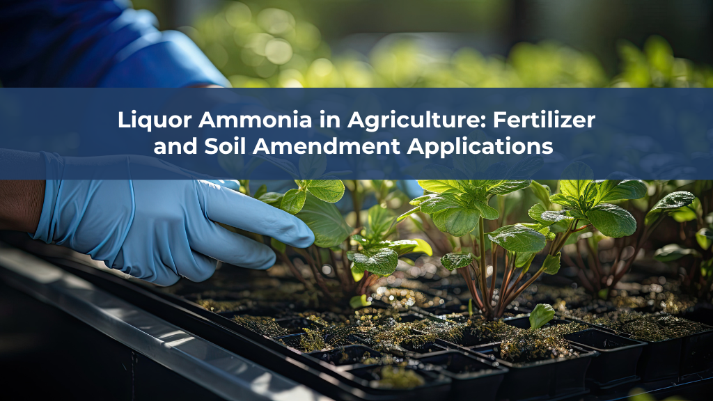 Liquor Ammonia in Agriculture: Fertilizer and Soil Amendment Applications