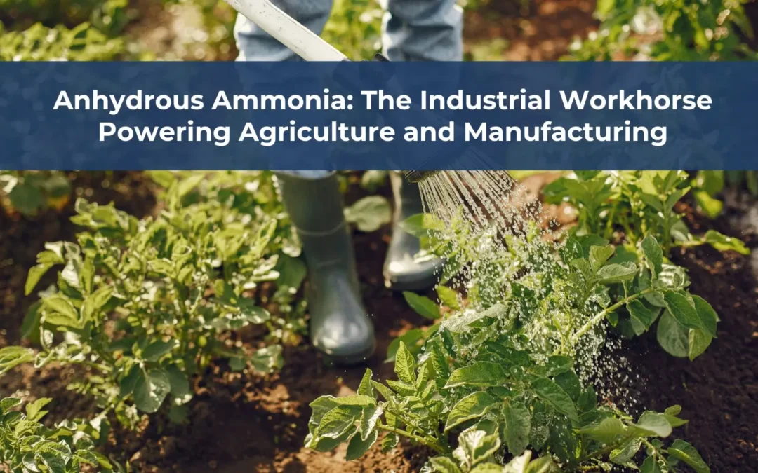 News and Articles 1 Anhydrous Ammonia: The Industrial Workhorse Powering Agriculture and Manufacturing