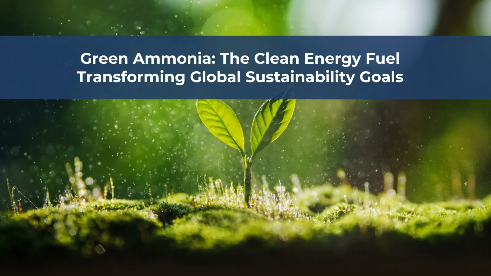 Green Ammonia Green Ammonia