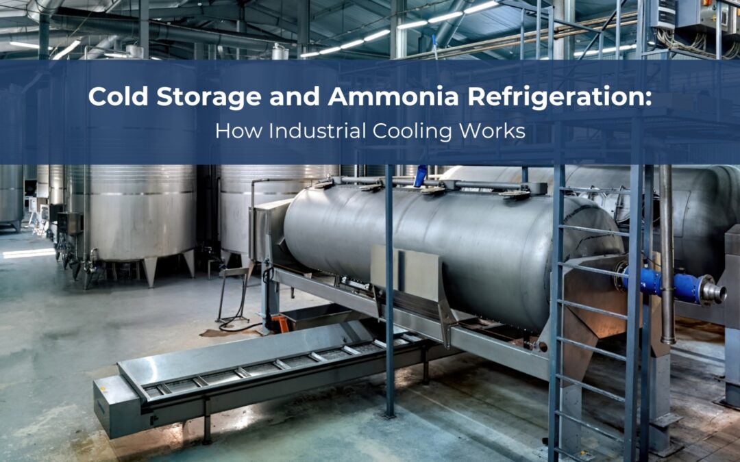 Cold Storage and Ammonia Refrigeration: How Industrial Cooling Works